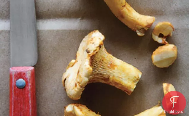 Salată Fragedă De Chanterelle