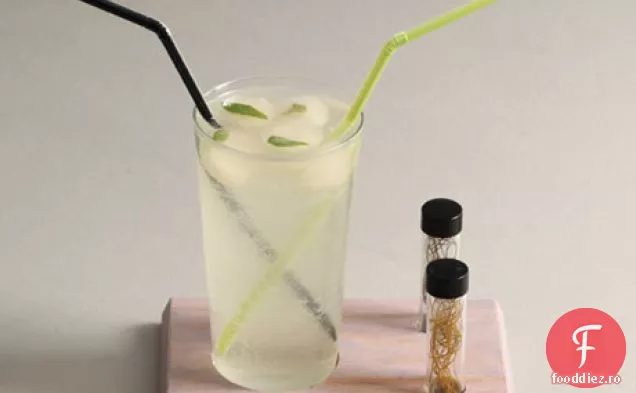 Sifon de lămâie Laskey cu cuburi de gheață de dafin