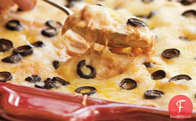 Chicken Tex-Mex Coace
