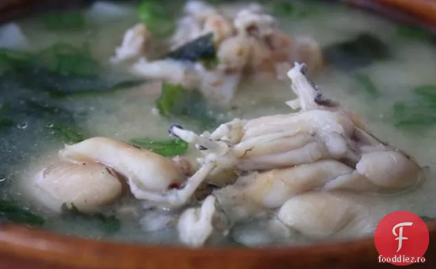 The Nasty Bits: Supă De Broască