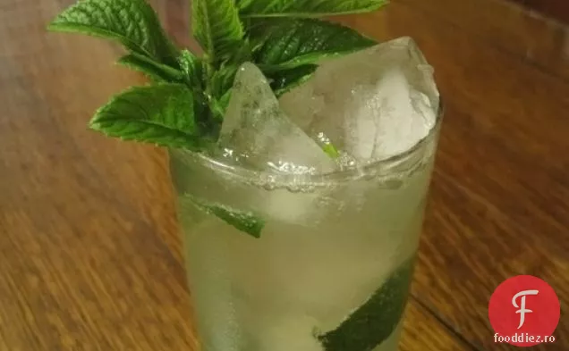 E timpul pentru o băutură: catârul Gin-Gin
