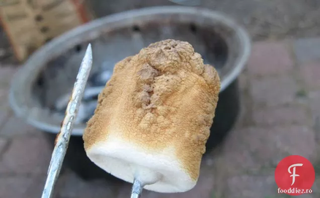 Biscuiți Graham de casă pentru Fancy s ' mores