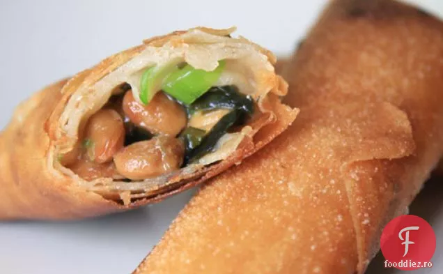 Rulouri De Primăvară Natto
