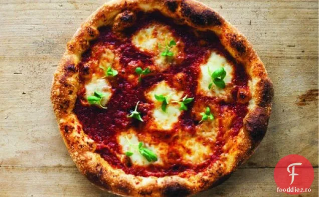 Gatiti cartea: aluatul de Pizza al lui Nancy Silverton