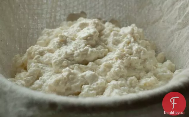 Brânza Ricotta din cămară de casă