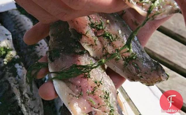 Râul Cottage Gravad Max (macrou Gravlax)