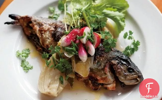 Ned Ludd ' s umplute Rubin păstrăv, fenicul, Scallions, și ierburi