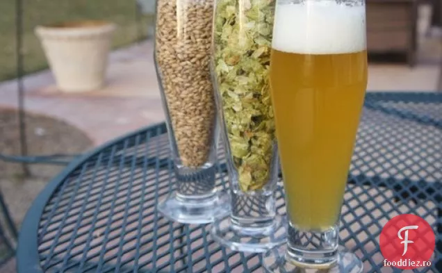 Single-Malt, single-Hop IPA (pentru Homebrewers începători)