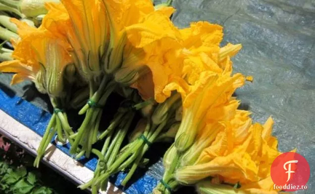 Franceză într-o clipă: Tagliatelle cu flori de dovlecel Pistou