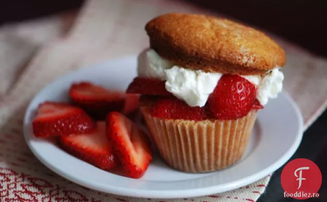 Cupcakes Shortcake Cu Căpșuni