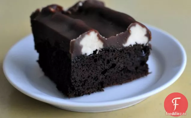 Tort Bumpy (tort de ciocolată cu cremă de unt de vanilie și Fudge de ciocolată)