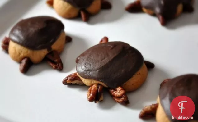 Cookie-Uri De Broască Țestoasă