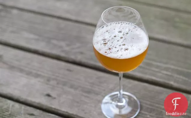 Sour Saison (Pentru Homebrewers Avansate)