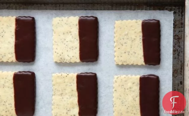 Pătrate de semințe de mac cu vârfuri de ciocolată