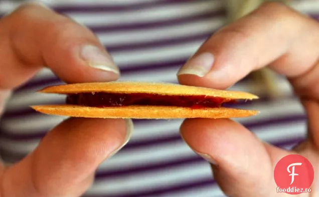 Cookie-Uri Sandwich Cu Vanilie Lingonberry