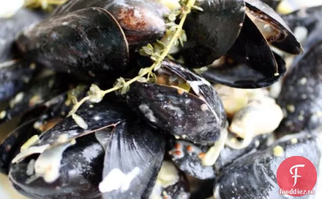 Ingredientul Secret (Muștar Dijon): Moules Dijonnaise