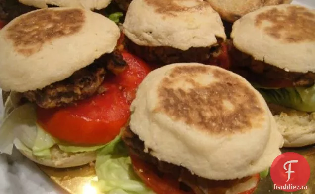 Gatiti cartea: Paddington Burgers