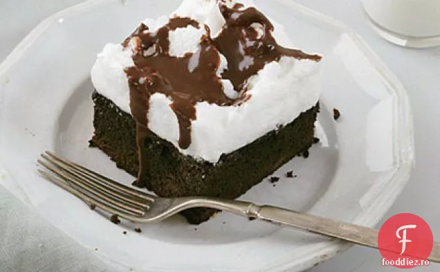 Tort Mocha cu Topping pufos de bezea
