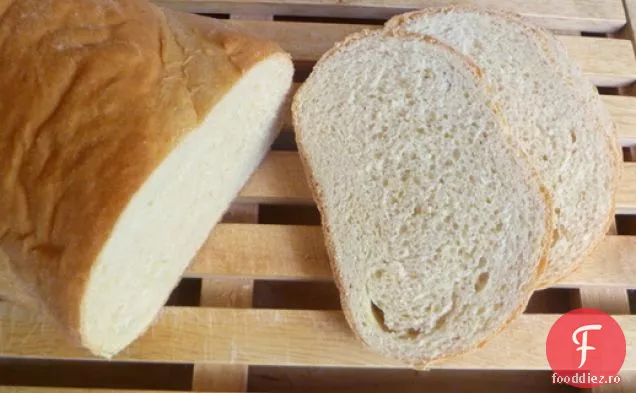 Coacerea pâinii: pâine în stil Italian cu grâu integral Alb