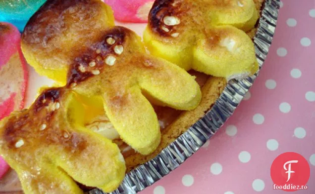 Cakespy: resturi Peeps S ' more plăcintă cu înghețată