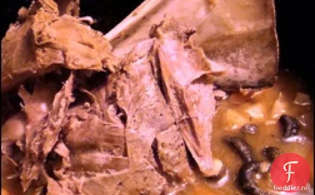 Aragaz lent : amestec de supă de ceapă de casă și o friptură de umăr de căprioară