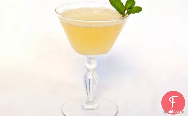 Partea De Sud Fizz
