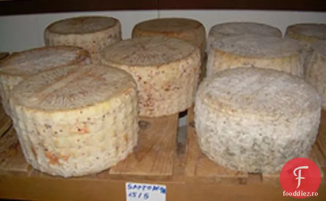 Gatiti cartea: crema Pecorino cu sos de rosii