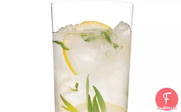 Tarhon Spumant-Limonadă Gin