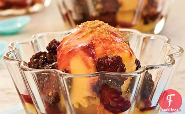 Sos Cald De Mure Peste Sorbet De Mango