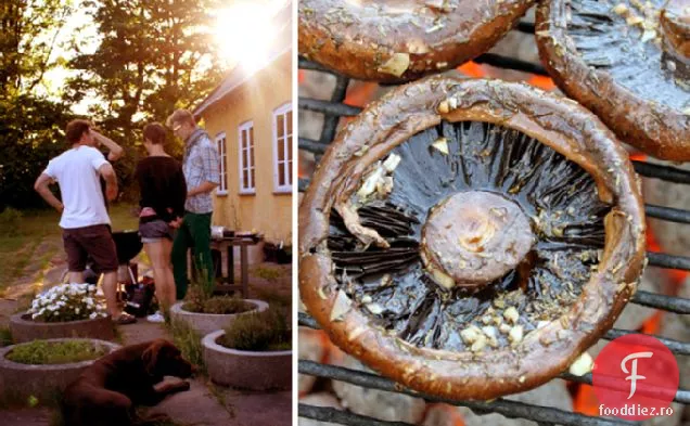 Ciuperci Magice Portobello La Grătar