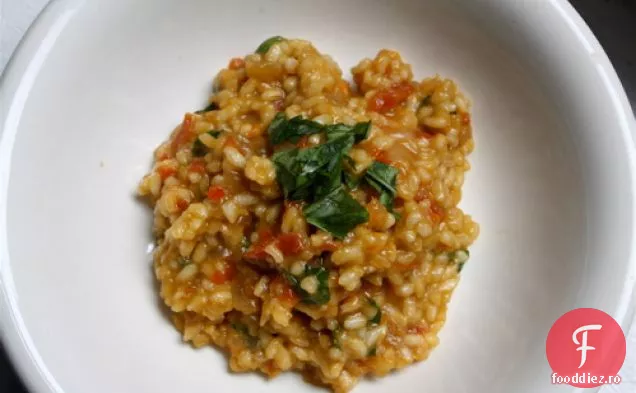Risotto De Ardei Roșu Smokey Cu Piment 6