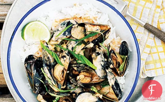 Midii De Curry Roșu Thailandez