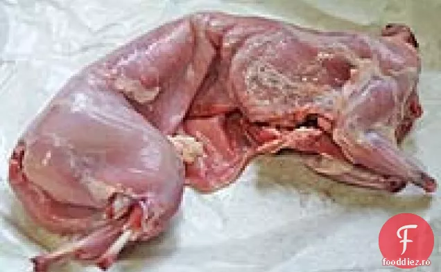 Iepure Cacciatore
