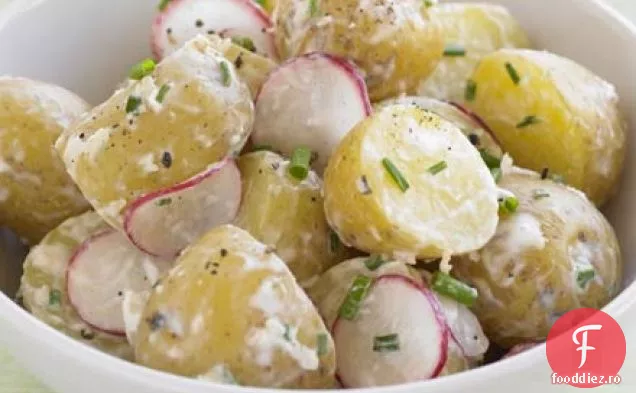 Salată Regală Jersey cu cremă de hrean