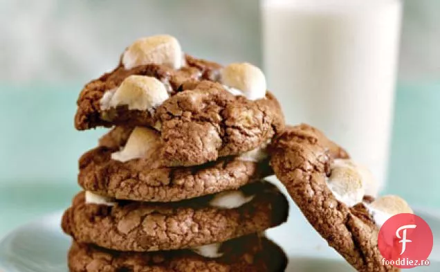 Mississippi Noroi Cookie-Uri