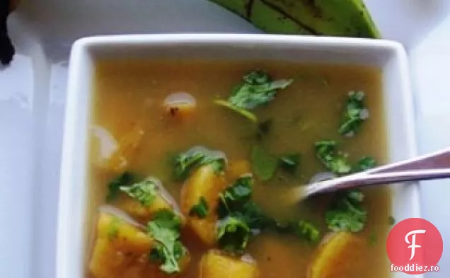 Supă de pătlagină (Sopa de PL. 6tano)