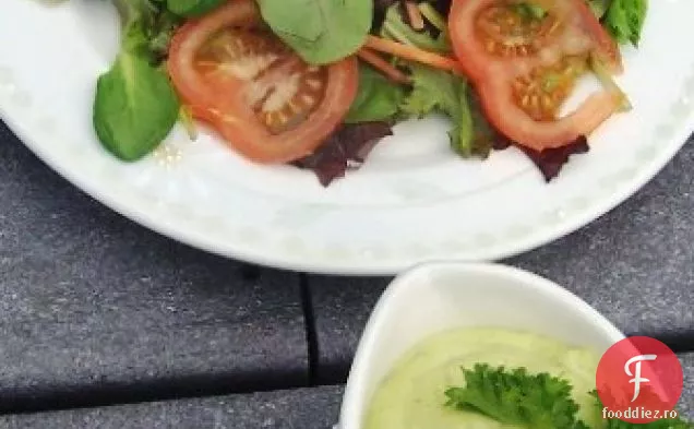 VINAIGRETĂ DE AVOCADO (VINAGRETA DE AGUACATE)