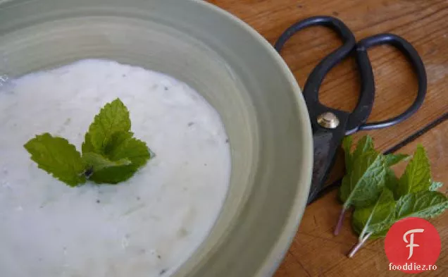 Lemon Castravete Tzatziki