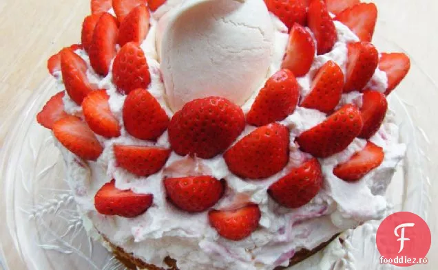 Eton Mizerie Tort