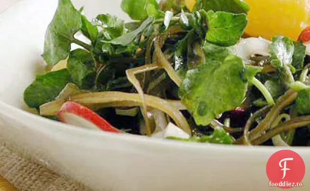 Salată de Nasturel cu fenicul și citrice