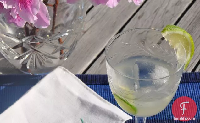 Cocktail de castravete-var