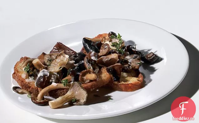 Ciuperci Sălbatice Crostini
