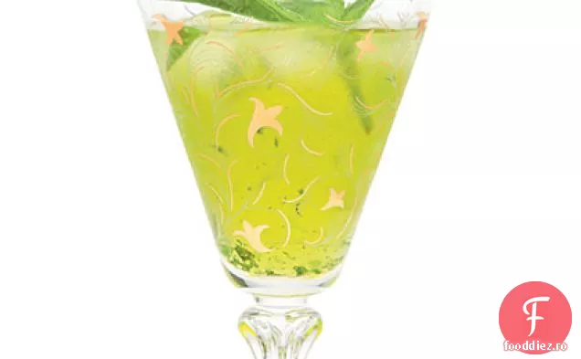 Vasile-Satsuma Julep