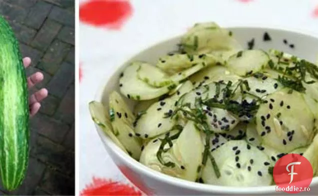 Salată De Castraveți De Susan