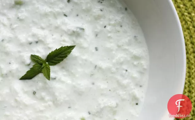 Slabut Tzatziki