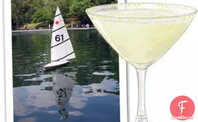 Rondele De Castraveți Cu Lămâie Cr Aproxme Fraiche Și Somon Afumat