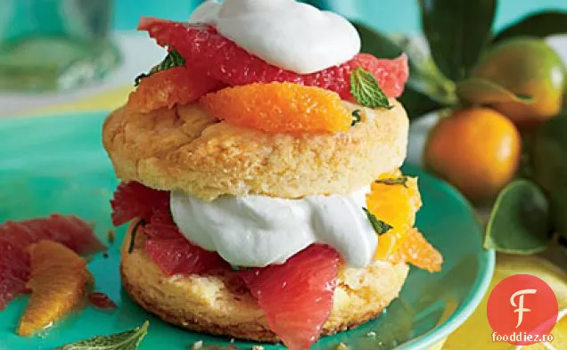 Shortcakes Cu Citrice