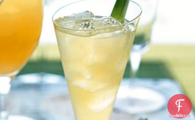 Pisco Punch