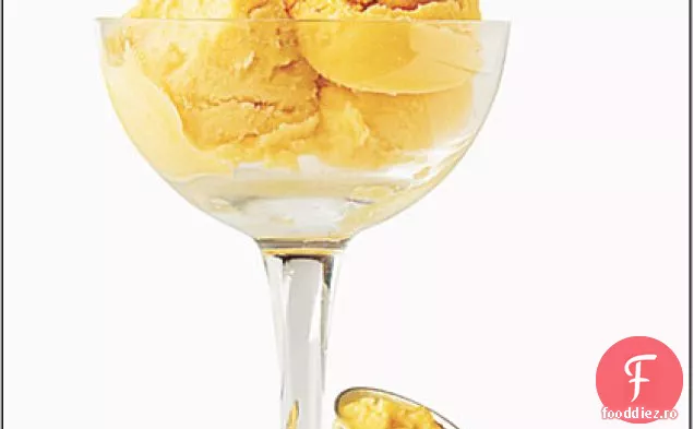 Serbet Tropical