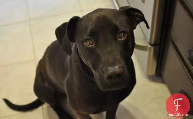 Fursecuri Cu Dovleac Cu 4 Picioare